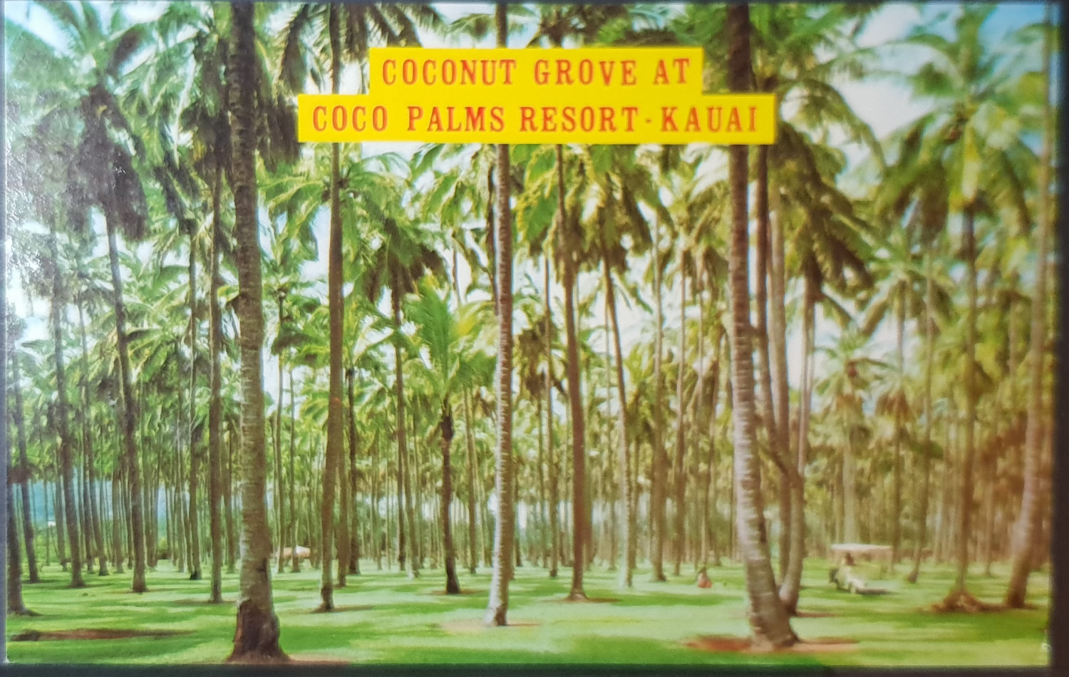 (image for) postcard USA - HI - Hawaii #0025